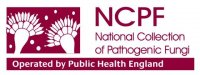 Saccharomyces cerevisiae NCPF 3191 Lenticule� discs 