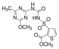 Thifensulfuron-methyl 76116-50MG