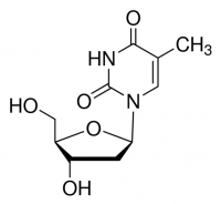 Zidovudine Related Compound D PHR3163-100MG