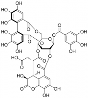 Chebulagic acid 1105155-25MG