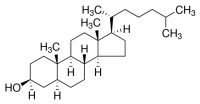 Cholestanol 
