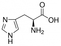 L-Histidine 1308505-200MG