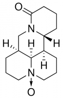 Oxymatrine Y0002015