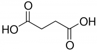 Succinic acid Y0001988