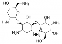 Tobramycin BP333