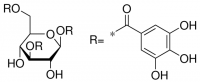 1,3,6-Tri-O-galloyl--D-glucose 