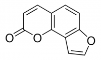 Angelicin PHL89874-10MG