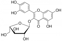 Avicularin 