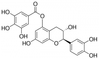 Catechin 5-O-gallate 