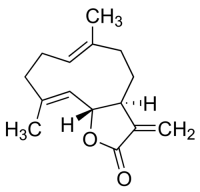 Costunolide PHL89611-10MG
