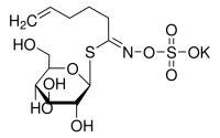Glucobrassicanapin potassium salt PHL83242-10MG