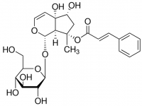 Harpagoside 