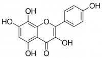 Herbacetin PHL83857-10MG