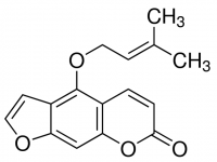Isoimperatorin PHL89323-10MG