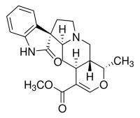 Isomitraphylline PHL89718-10MG