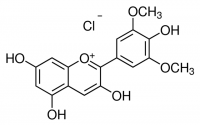 Malvidin chloride PHL80083-10MG