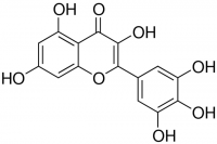 Myricetin 