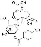 Negundoside PHL83259-10MG
