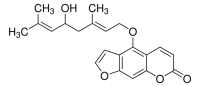 Notopterol PHL83320-10MG