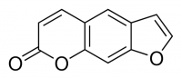 Psoralen 