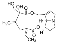 Riddelliine PHL84102-5MG