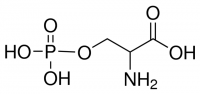 O-Phospho-DL-serine 