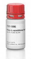 Poly-L-ornithine hydrochloride