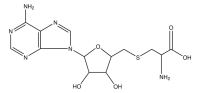 S-(5-Adenosyl)-L-cysteine 