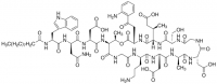 Daptomycin Ready Made Solution 