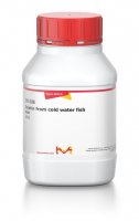 Gelatin from cold water fish skin 