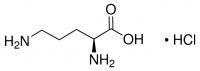 L-Ornithine monohydrochloride 