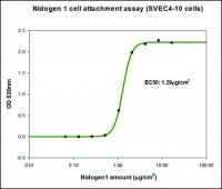 Nidogen-1 (NID1) human D8935-50UG