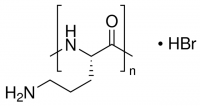 Poly-L-ornithine solution P4957-50ML