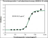 Thrombospondin-1 human