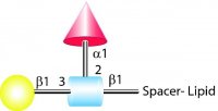 FSL-LEa(tri) 