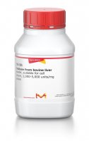 Catalase from bovine liver 