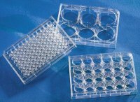 Corning� 96 Well TC-Treated Microplates CLS3596-50EA