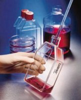 Corning� CellBIND� Surface cell culture flasks CLS3293-25EA