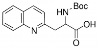 Boc-3-(2-quinolyl)-DL-Ala-OH 