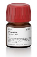 D-Tyrosine 