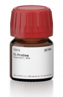 DL-Proline