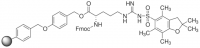 Fmoc-Arg(Pbf)-Wang resin 