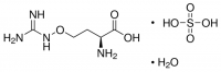 L-(+)-Canavanine sulfate salt monohydrate 