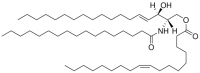 1-O-Acyl-Ceramide 860526P-5MG