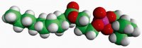 11:0 Lyso PC 855376P-25MG