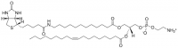 12:0 Biotin-18:1 PE 860511C-1MG
