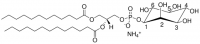12:0-13:0 PI LM1500-1EA