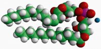 14:0 BMP (S,R)