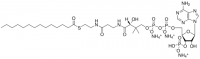 14:0 Coenzyme A 870714P-5MG