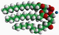 14:0 Hemi BMP (S,R) 857132P-5MG